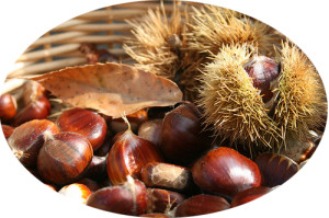 castagne