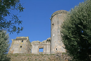 nepi1
